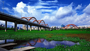 深圳市彩虹（北站）大桥项目